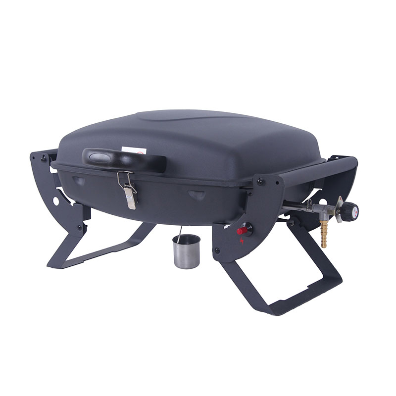 Small Portable Gas Grill