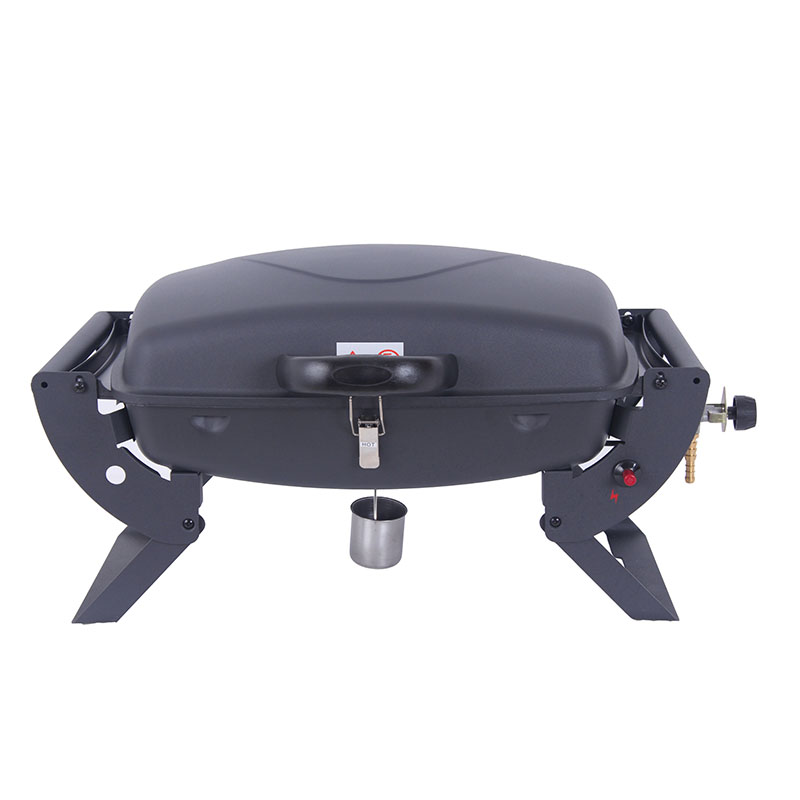 Small Portable Gas Grill